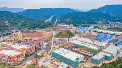 聚力实体经济 奏响发展强音！梅县区围绕“11115”产业集群打造高质量发展新引擎