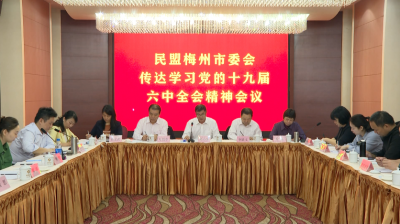 民盟梅州市委会召开会议传达学习党的十九届六中全会精神