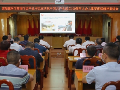 梅江区西阳镇举行学习贯彻习近平总书记在庆祝中国共产党成立100周年大会上重要讲话精神专题宣讲会