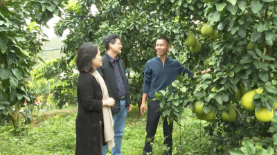 广州天河驻镇工作队邀请专家把脉问诊 助力兴宁水口镇乡村振兴发展