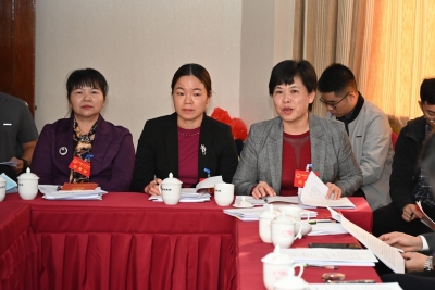 成就鼓舞人心 蓝图催人奋进！平远县人大代表、政协委员热议政府工作报告 