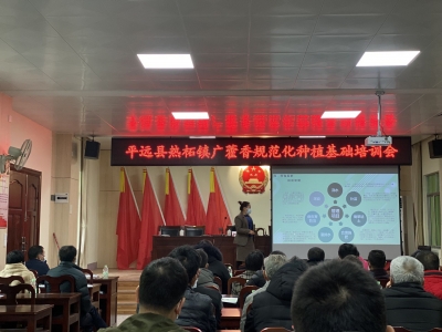 平远县热柘镇召开广藿香规范化种植基础培训会
