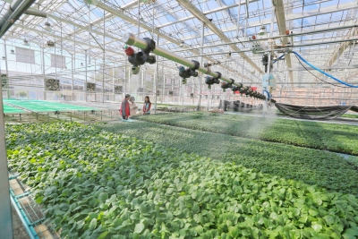 “智慧农业”大显身手！梅江区农业智慧化为乡村振兴增添新动能