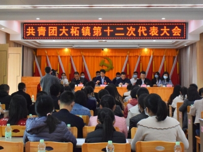 平远县全面完成镇级团委换届工作