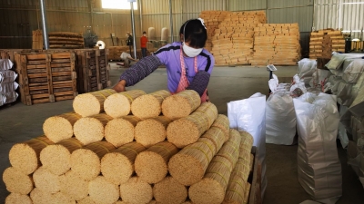 “小”毛竹长出“大”产业！平远发展竹制品加工让乡村毛竹“闯进”国际市场