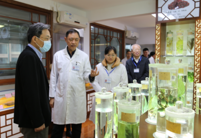 蒋鲲调研市场监管工作：紧抓疫情防控 强化市场监管