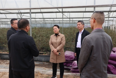 蓝伟东到大埔县百侯镇调研乡村振兴驻镇帮镇扶村工作