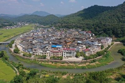 寿乡蕉岭·桂花