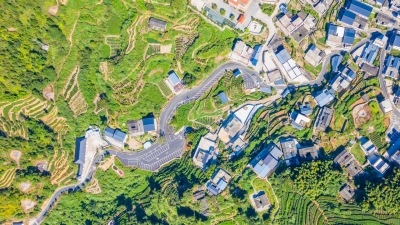 路通民心畅 道顺百业兴！大埔全力推进“四好农村路”建设，打通乡村振兴“大动脉”