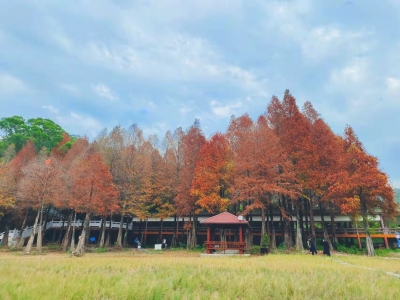 梅江周末·凌风