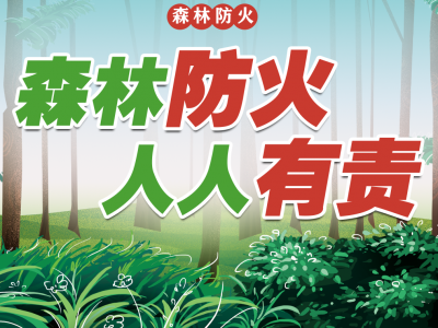 筑牢森林安全防线！《梅州市今冬明春森林防灭火工作方案》印发