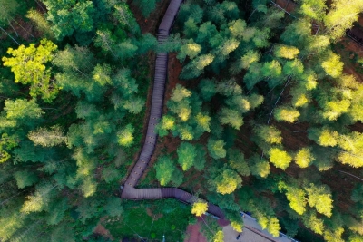 “蕉岭寿乡 百里画廊”入选首批美丽广东生态文旅线路