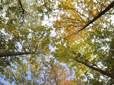 游山赏水总相宜！来看诗画梅江的冬日好景致