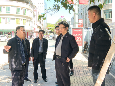 刘鸿涛、刘裕君率队调研民生项目建设