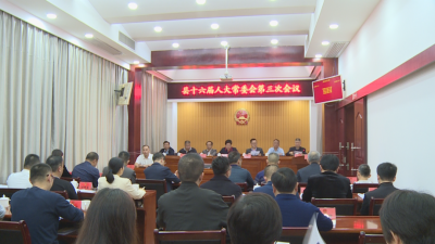 朱传讯任命为丰顺县监察委员会副主任