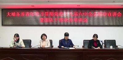 大埔召开各界青年学习贯彻党的十九届六中全会精神宣讲会暨团队干部业务培训会