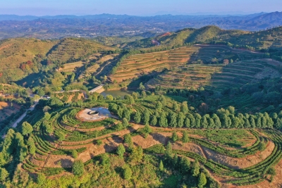 村里来了“特派员”！平远派驻“金融特派员”延伸服务触角赋能乡村全面振兴  