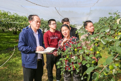 广州市派驻丰顺县埔寨镇驻镇帮扶工作队队长卢满仓：当好“三员”接稳棒 找准路子促振兴