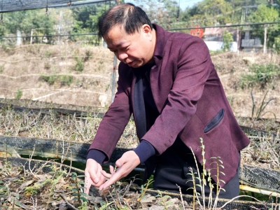 苏区梅州“忠诚颂”丨梅南林场场长何伟坚：27载用情耕林 让青山更美丽 