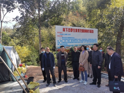 理论+实操！紫灵芝栽培培训班走进平远，助推灵芝产业稳健发展  