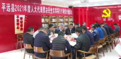 平远县人大常委会开展2021年度人大代表票决民生实事项目专项督查