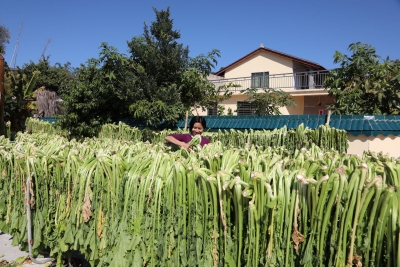 冬日盛景入画来！蕉岭扎实推进垦造水田建设唤醒 “沉睡”土地