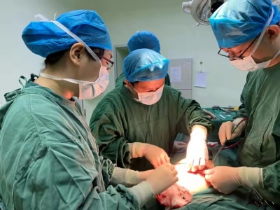 以俯身之姿 锻医者仁心！中山大学附属第三医院龙梅珺博士为大埔县提供乳腺外科技术帮扶