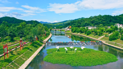 “阳光收入”“花开大地”“授渔”“造血”！梅江区西阳镇这样走好新时代“赶考路”...