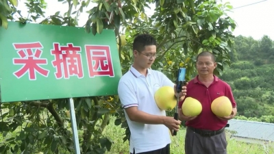 村级驿站、直播带货、跨境平台...平远：搭上电商新模式跑出“加速度”！