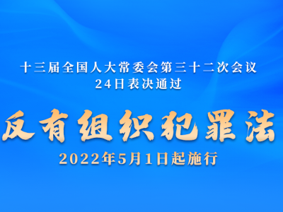 权威快报丨反有组织犯罪法通过！