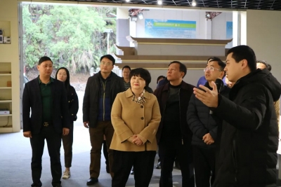 李焕春一行到大埔调研乡村振兴工作