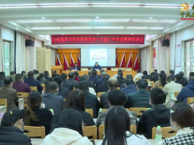 平远各级各单位学习贯彻党的十九届六中全会精神