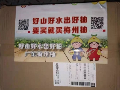 “柚”再北上！梅州柚“邮”到全国重点市场宣传推介啦