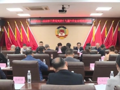 丰顺县统一战线学习贯彻党的十九届六中全会精神座谈会召开