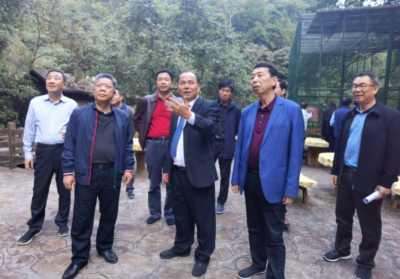 省政协调研组来梅开展专题调研：加强保护治理 筑牢生态屏障