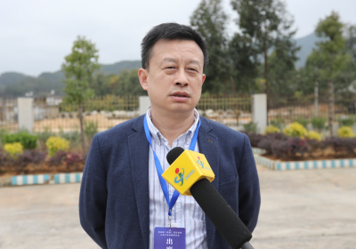 华南理工大学经济与金融学院教授丁焕峰：推动绿色建材产业高质量发展