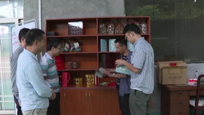 握稳“接力棒” ！平远县差干镇驻镇帮镇扶村工作队力帮百姓开辟“致富路”