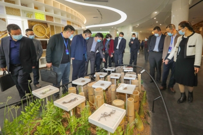 问计实体经济发展！粤闽赣（蕉岭）苏区省界工业产业发展研讨会侧记