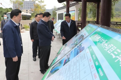 姚奕生到丰顺汤西镇调研驻镇帮镇扶村和乡村振兴工作