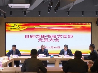 丘炀在五华县府办秘书股党支部党员大会上作专题党课辅导