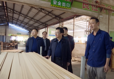 刘鸿涛检查安全生产、森林防灭火工作 以高水平安全服务高质量发展