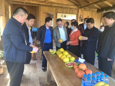 市调研组到大埔县大东镇调研指导乡村振兴驻镇帮扶工作