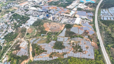 狠抓发展第一要务丨塔牌集团稳步推进220MW光伏发电储能一体化项目