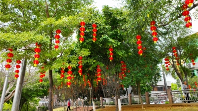 “气氛组”上线！蕉岭“红妆”摇曳，准备过年啦！