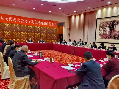 梅州代表团召开全体会议：推选马正勇为省十三届人大五次会议梅州代表团团长，余其豹、何建元为副团长