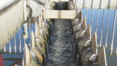 梅县区：334个自然村已完成集中供水全覆盖