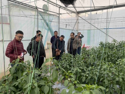 把准脉搏！梅江区西阳镇驻镇帮镇扶村工作队履职尽责助力乡村振兴