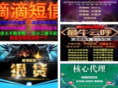 警方捣毁“轰天雷”“疯狗短信”等21个恶意骚扰平台