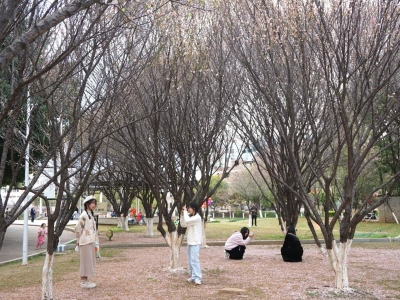 扮靓春节“风景线”！旅游，记得带上“文明”