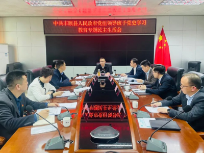 丰顺县政府党组领导班子党史学习教育专题民主生活会召开